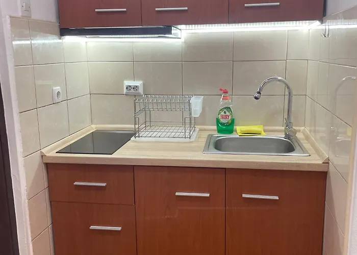 Apartment Kletnikovi *